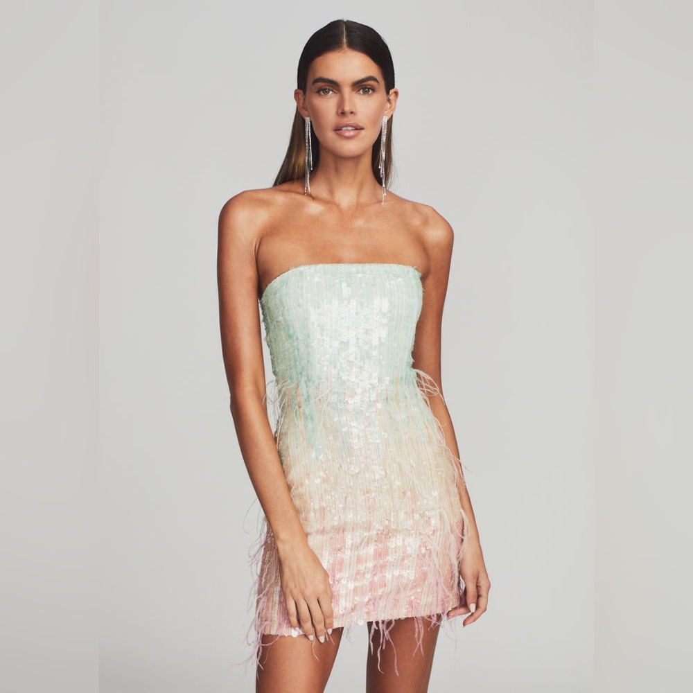 Retrofête Anastasia Feather Dress